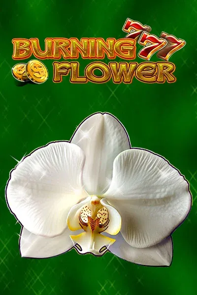 Burning Flower chez Betscore Casino